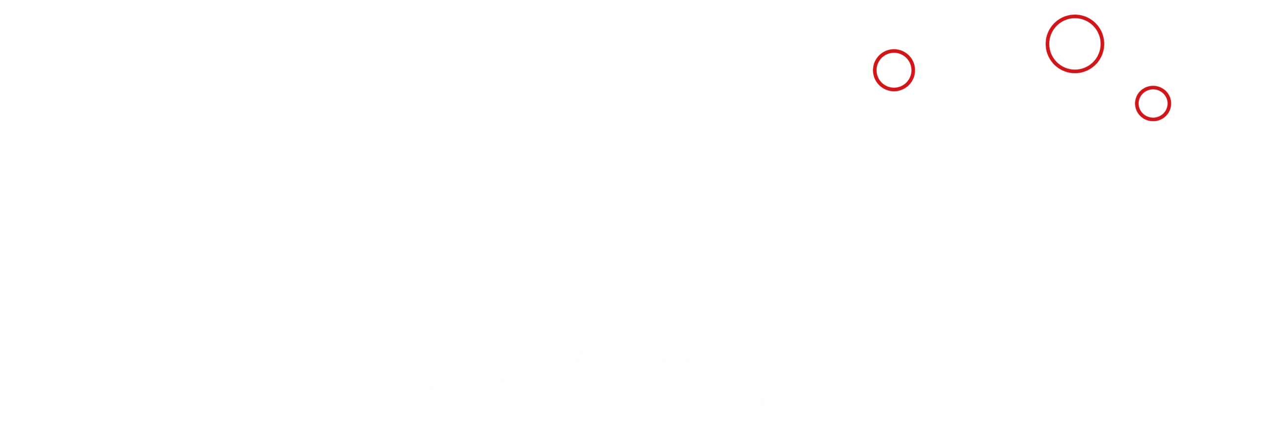 Logo von SG IT-Services